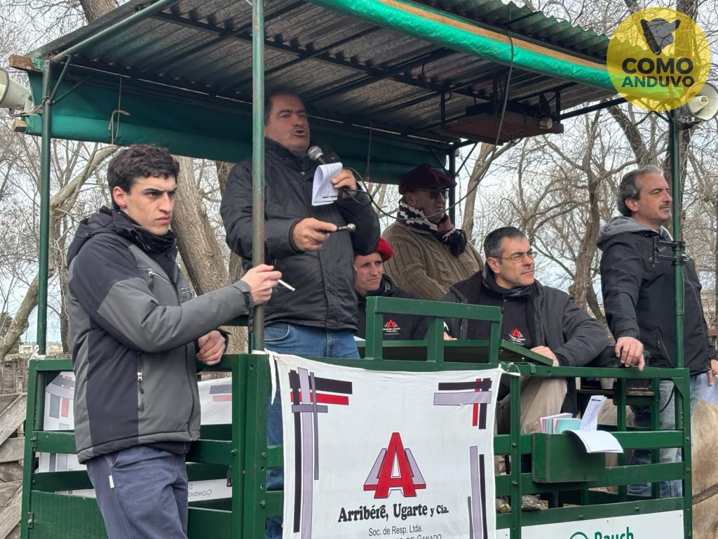 Arribere, Ugarte y Cía